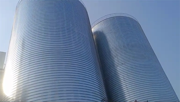 大余2座混凝土高架卷板仓