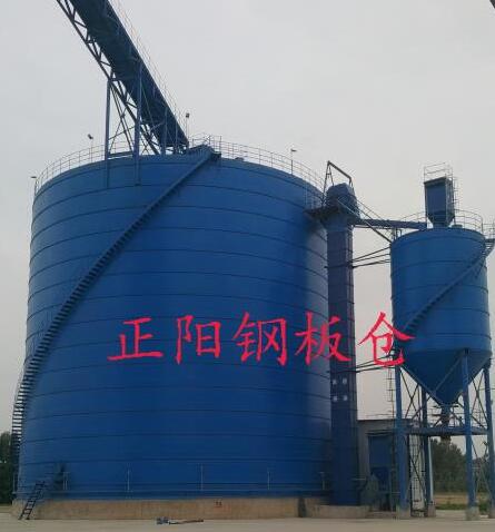 大余大型矿粉钢板库